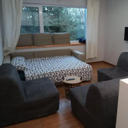 Maly W Zieleni Blisko Jeziora * Środa Wielkopolska