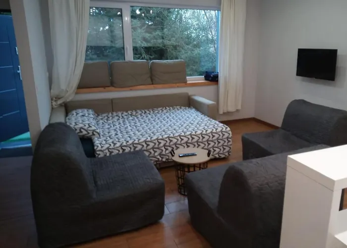 Maly W Zieleni Blisko Jeziora * Sroda Wielkopolska